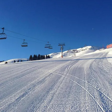 Apartament In Near Slopes *