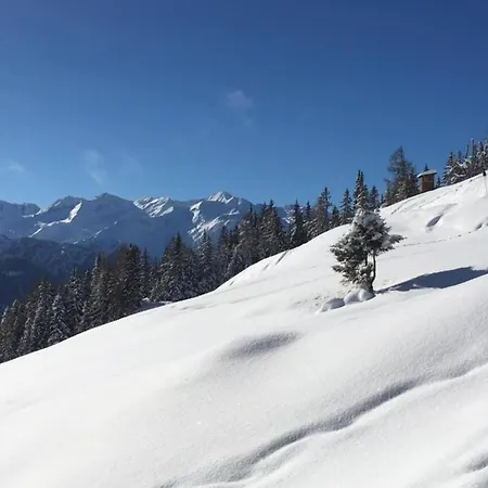 In Near Slopes Apartament Mittersill