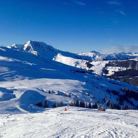 In Near Slopes * Mittersill