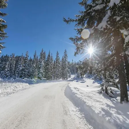 In Near Slopes Apartament