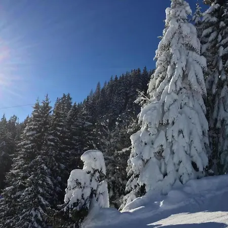 In Near Slopes Mittersill