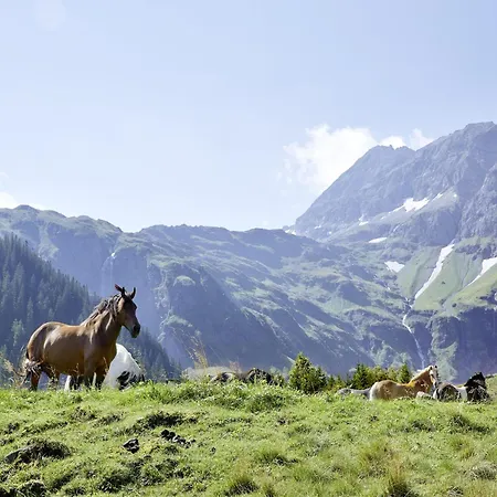 In Near Slopes * Миттерзилль