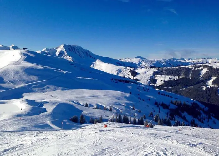 In Near Slopes * Mittersill