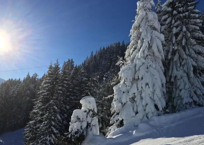 In Near Slopes Mittersill